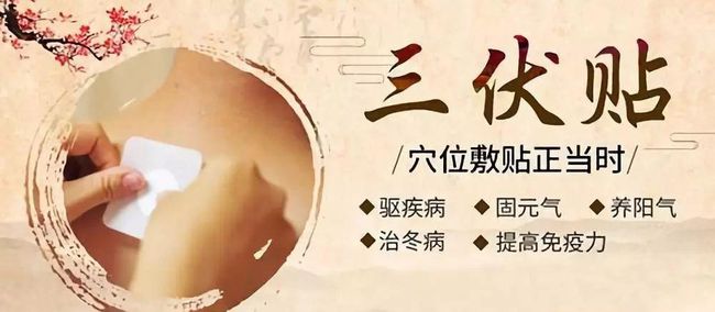 1、三伏貼要連續(xù)貼幾天